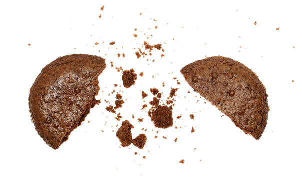 Broken cocoa biscuits with crumbs, cookie pieces flying isolated on white background, clipping path
