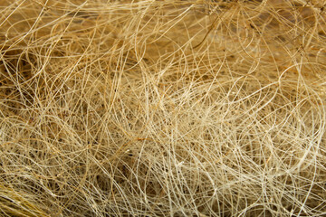 Fototapeta premium A fine, creamy, and light brown fiber texture. This intricate organic texture creates an abstract and natural background pattern.