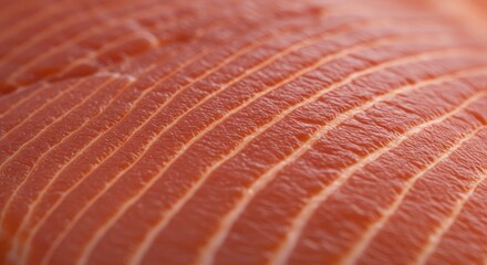 Close-up Macro Texture of Raw Salmon Fillet