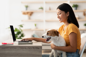 Smiling young korean woman sitting at workdesk with dog playful jack russel terrier, typing on...