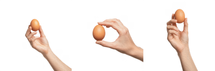 Set/Collection of fresh organic eggs hand holding, realistic chicken eggs in natural shell, breakfast ingredients, farm produce, healthy food concept, nutrition and protein, free-range eggs, brown and