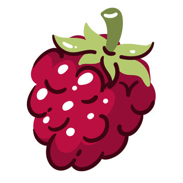 Raspberry fruit with clustered juicy drupelets and green stem, ripe raspberry berry with rounded shapes and bold outline. Fresh seasonal fruit element for menu, packaging, grocery branding and healthy