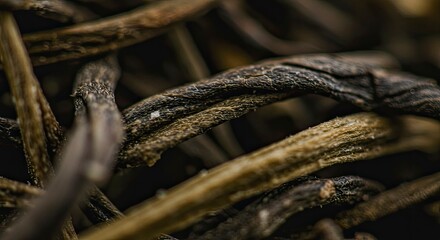 Macro View of Dried Twigs and Branches