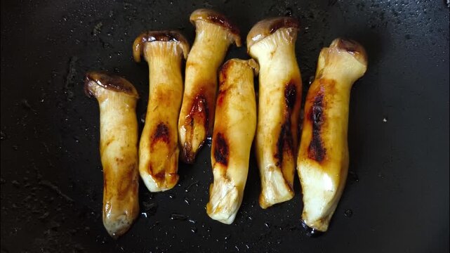  Grilling oyster mushrooms in pan, indoor Chiangmai Thailand.