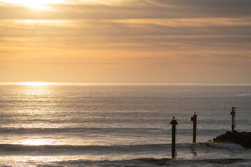 Obraz premium sunset on the beach at Mallacoota, Victoria