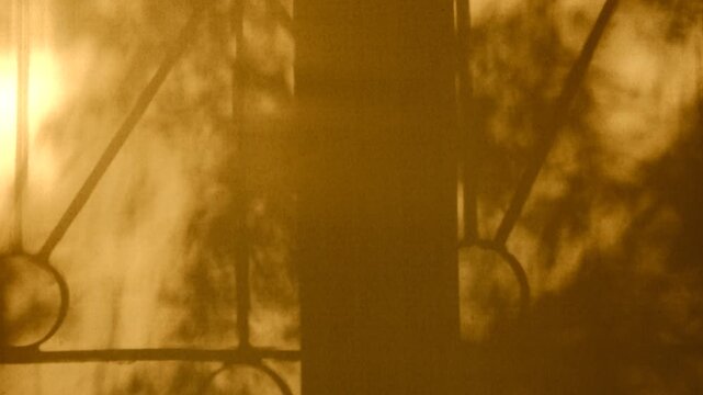 Shadows and sunlight, tropical flowers. Overlay shadow. Window, overlay shadows on orange background. Dapplet light. Minimal style, copy space, template. Video transition