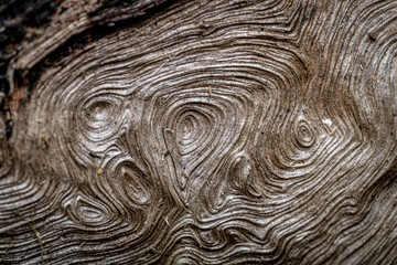 natural wood grain texture