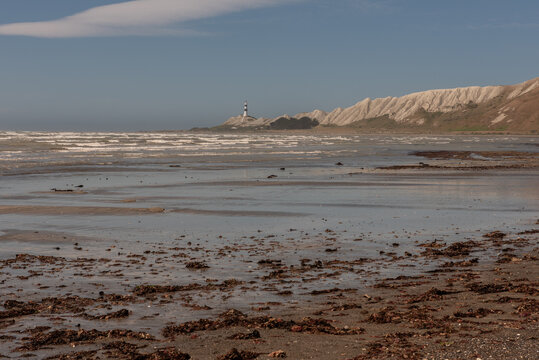 Cape Campbell and its lighthouse in the distance viewed from Clifford Bay at low tide, New Zealand.