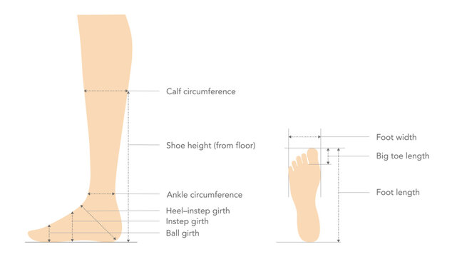 Shoe sizing measurement guide flat. Calf circumference, ankle ball girth for apparel industry design catalog and footwear specification. Technical fashion illustration CAD mockup vector isolated style