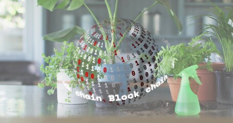 Floating clear sphere showing Block chain over sunlit counter, with shiny pot, soil, spray bottle