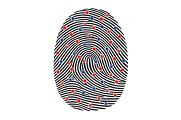 Fingerprint with biometric data points visualizing digital identity, security, and authentication, on transparent background