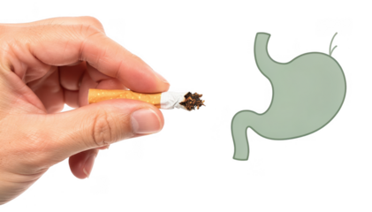 Closeup of a hand breaking a cigarette beside a minimalist stomach icon on white background emphasizing smoking cessation and ulcer healing in a clean medical concept.