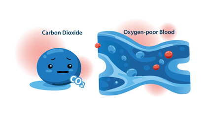 Educational illustrations of Deoxygenated Blood and Carbon Dioxide