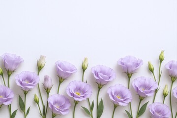 Delicate Purple Lisianthus Flowers on White Background Creating a Floral Border, Ideal for Spring Designs