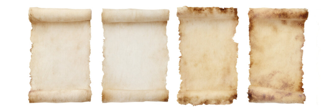 Four vintage parchment scrolls with torn edges, perfect for adding a touch of history and elegance to your design or creative project.