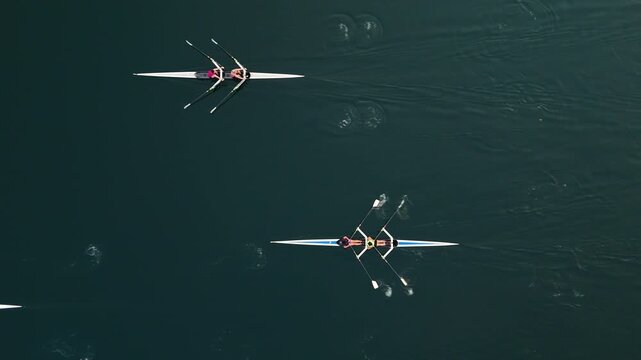 Top View Sport Canoes Glide Over Calm Water As Young Athletes Train At Sunrise. Peaceful Summer Morning Scene In Halifax, Nova Scotia, Canada.Mixed Canoe Teams Paddling On Ocean At Summer Sunrise