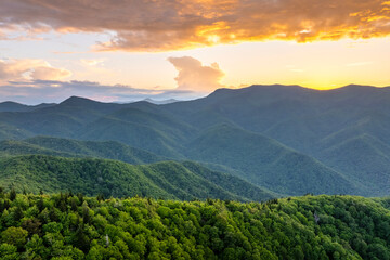 Bright sunset in Smokey Mountains summer woods. Mount Mitchell peak in Appalachian mountains in North Carolina with fresh green forest trees in summertime season. Beauty of USA nature