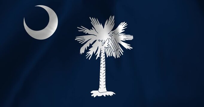 The south carolina state flag of the United States of America waving with the wind background loop video animation