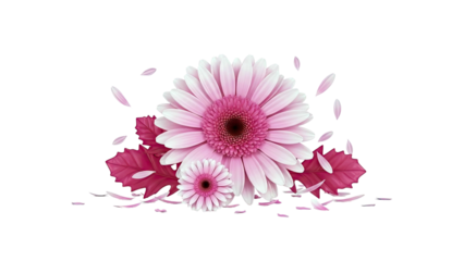 Pink Gerbera Daisies with Red Leaves and Petals
