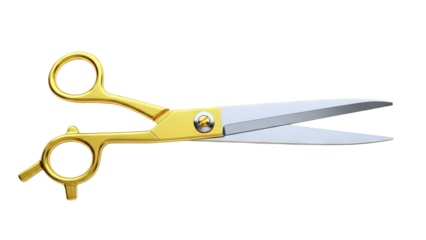 Golden Professional Barber Scissors