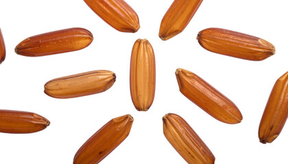 Close-up studio shot of several grains, exhibiting a warm brown color and elongated shapes against a black background