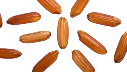 Close-up studio shot of several grains, exhibiting a warm brown color and elongated shapes against a black background