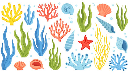 Obraz premium Vibrant ocean scene with seaweed, seashells, and starfish illustration from above