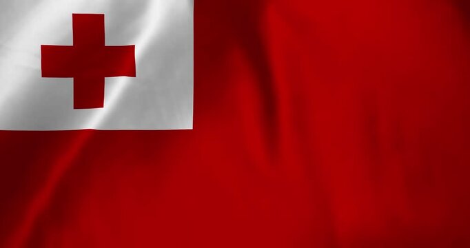 The tonga flag waving with the wind background loop video animation