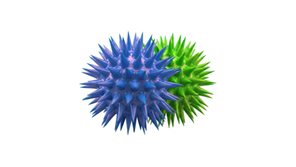 Two Spiky Spheres, Blue and Green, on White Background