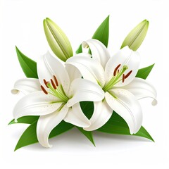 Obraz premium Realistic, white lily flowers with green leaves