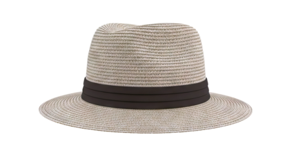 Straw Fedora Hat with Dark Band