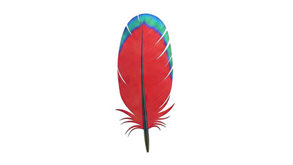 Vibrant Red Macaw Feather with Blue and Green Tips