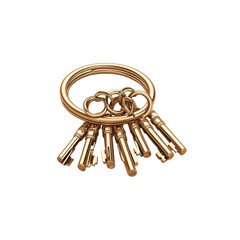 Gold keys on a keyring