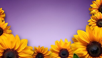 Sunflower Floral Purple Background For Message Card