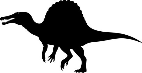Fototapeta premium A spinosaurus dinosaur silhouette, a distinctive theropod with a large back sail walking.
