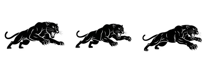Obraz premium Set of three black panther or black jaguar illustrations in aggressive pouncing poses, wild cat mascot or tattoo design concept, isolated on white backgroun