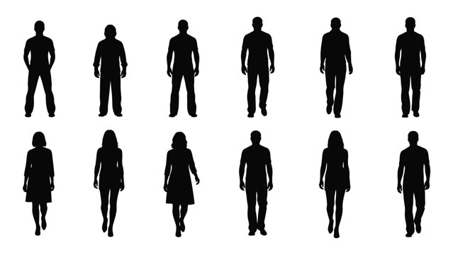 Silhouettes of people in various poses isolated on white background, Vector