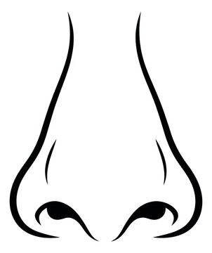 Minimalist line art illustration of a human nose depicting the sense of smell for medical and educational content