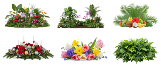 Collection or green burst tropical garden with a variety of colorful flowers and foliage.