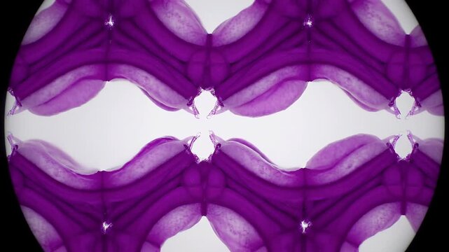 An abstract, symmetrical purple pattern resembling intricate plant cell structures or tissue is revealed under a microscope.