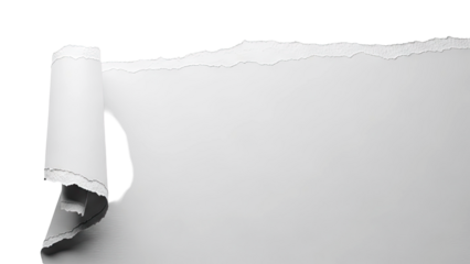 Torn paper edge with shadow