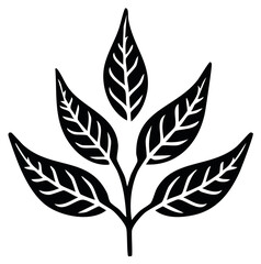 Fototapeta premium Stylized Black and White Branch with Five Detailed Leaves