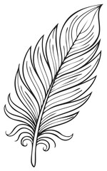 Obraz premium Elegant bird feather line art drawing. Stylized black and white illustration with decorative swirls.