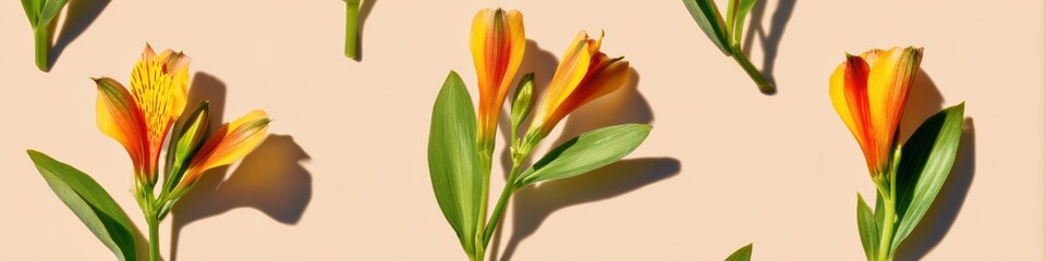 Obraz premium Alstroemeria Flowers Pattern on Neutral Surface for Botanical Design and Floral Background, Macro View of Yellow and Orange Lily Blooms for Greeting Cards or Study