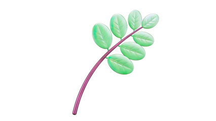 Green Leafy Branch Illustration