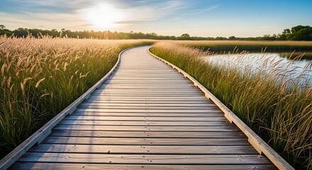 Obraz premium Wooden boardwalk path through tall golden grass leading towards the sunlit horizon