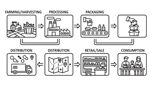 Outline Food Supply Chain Stages with Icons and Arrows