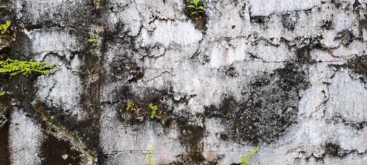 White wall texture rough background abstract concrete floor or Old cement grunge background with white empty.