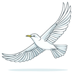 Obraz premium White dove in flight with wings spread wide, symbolizing peace and freedom