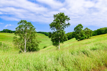 道東清里町のほしかぜの丘を歩く
